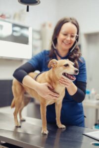 valvula de retenção de água